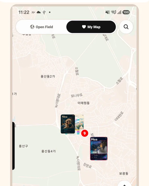 Pawpi My Map app screen showing private street-animal sightings