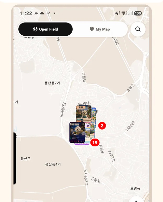 Pawpi Open Field app screen showing public street-animal cards